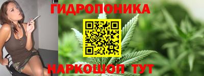 спиды Кингисепп