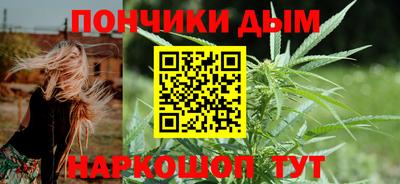 спиды Кингисепп
