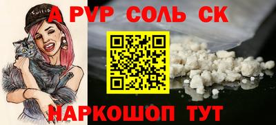 спиды Кингисепп