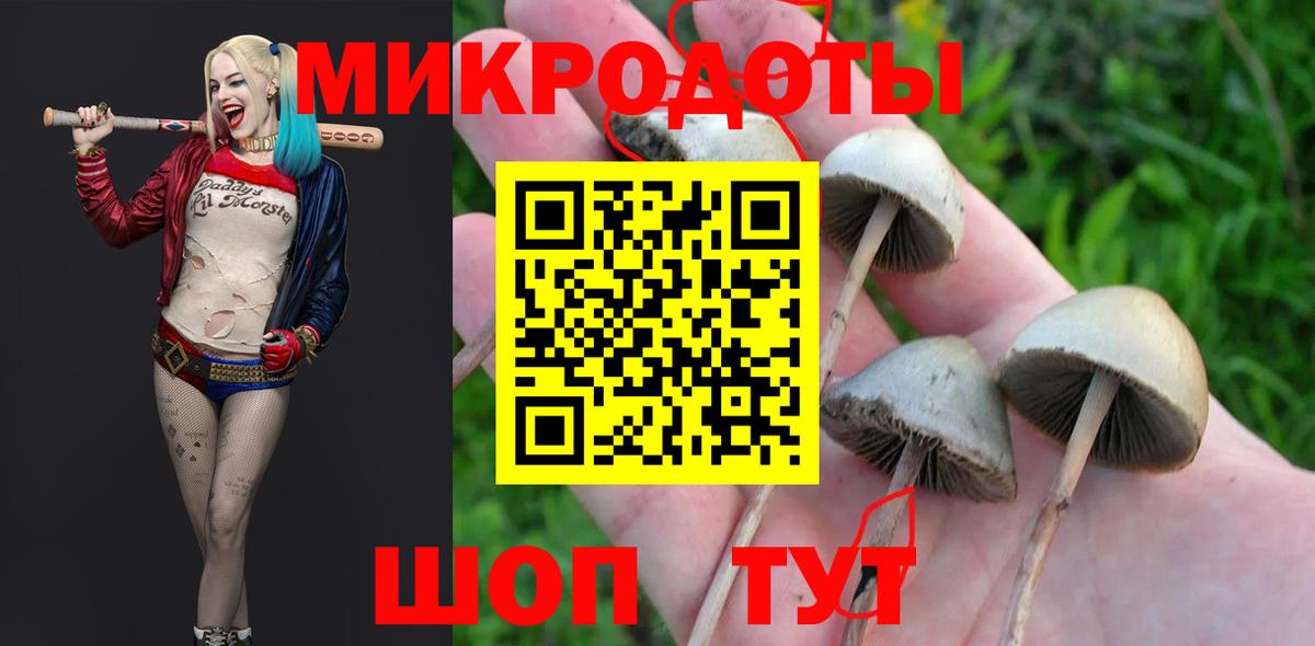 Псилоцибиновые грибы прущие грибы Урус-Мартан